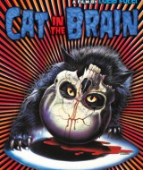 Cat in the Brain