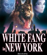 White Fang in New York