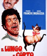 lungo_il_corto_il_gatto-small